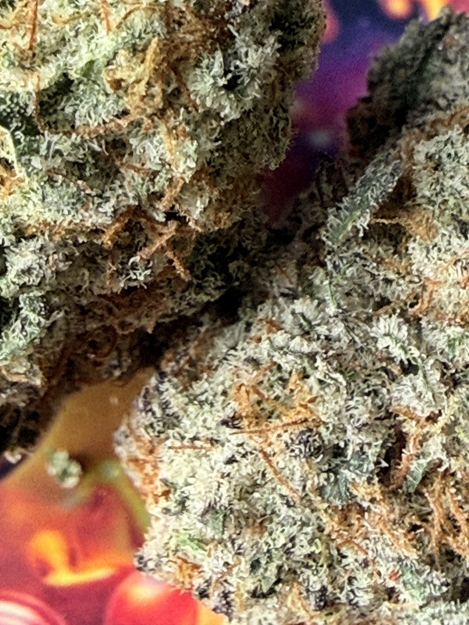 Fleur THCA Premium AAAA+  Zkittlez X Cake