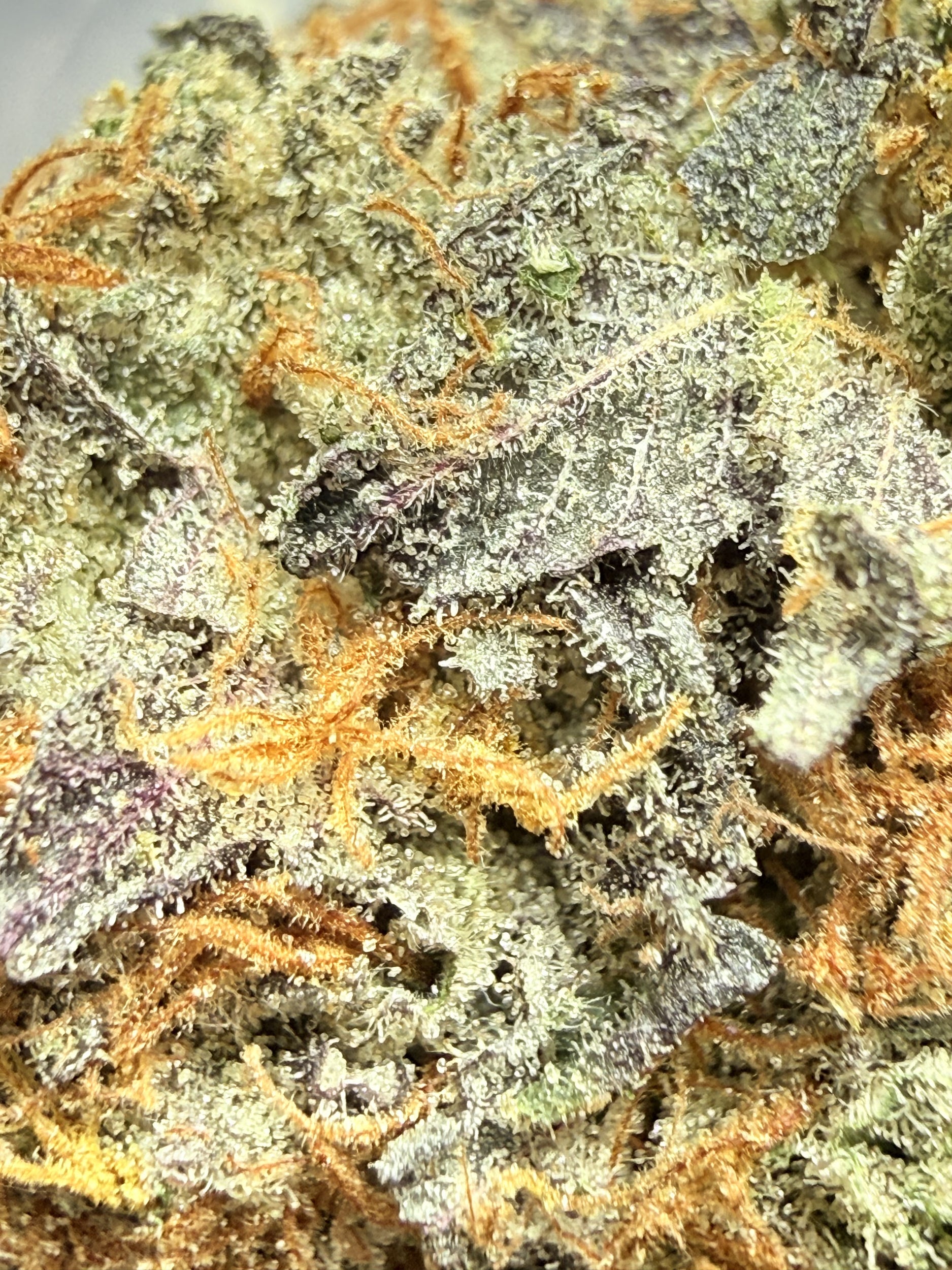 JEALOUSY FLEURS THCA PREMIUM AAAA+
