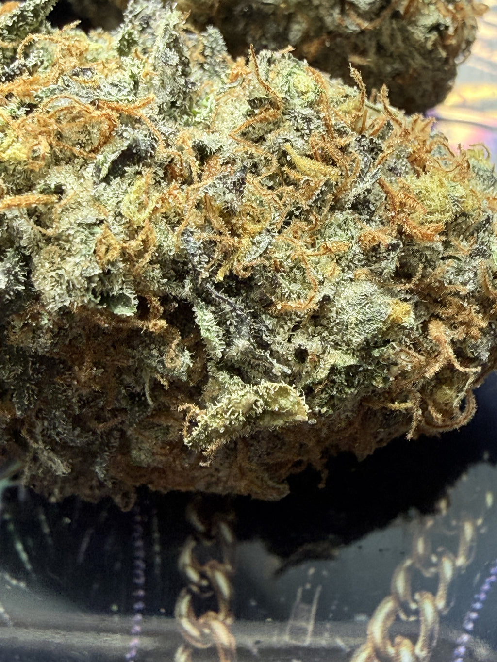JEALOUSY FLEURS THCA PREMIUM AAAA+