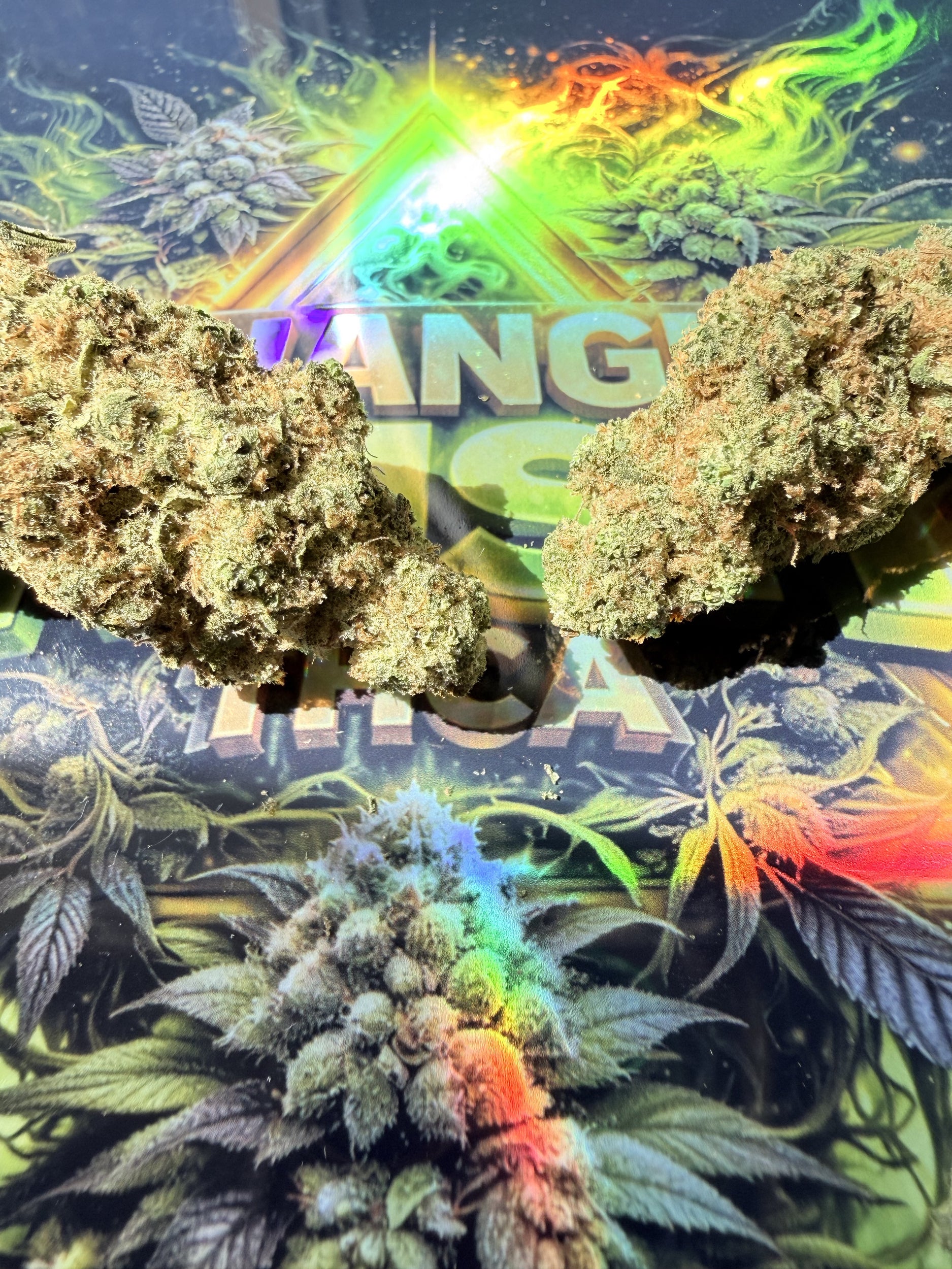 TRIANGLE KUSH FLEURS PREMIUM THCA AAAA+