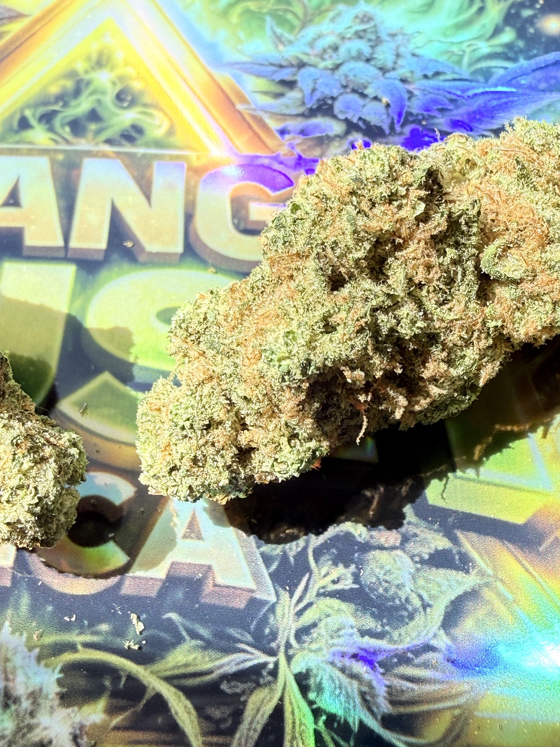 TRIANGLE KUSH FLEURS PREMIUM THCA AAAA+