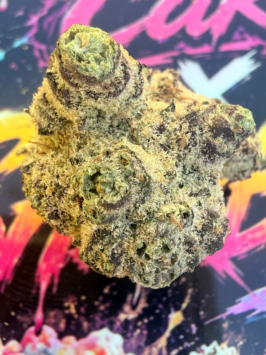 RAINBOW CHIPS FLEURS THCA – PREMIUM AAAA+