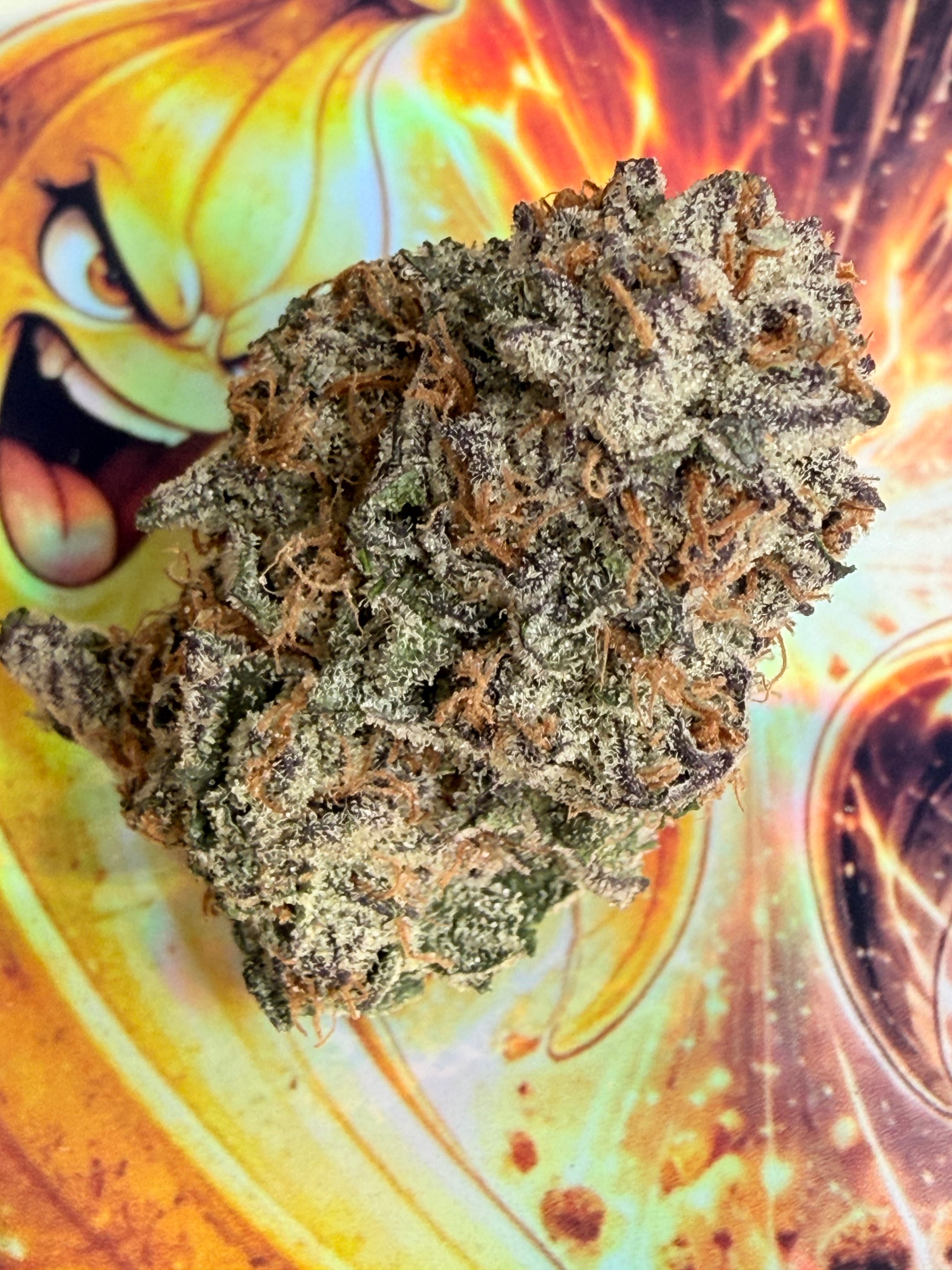 BLACK BANANA COOKIES THCA AAAA+