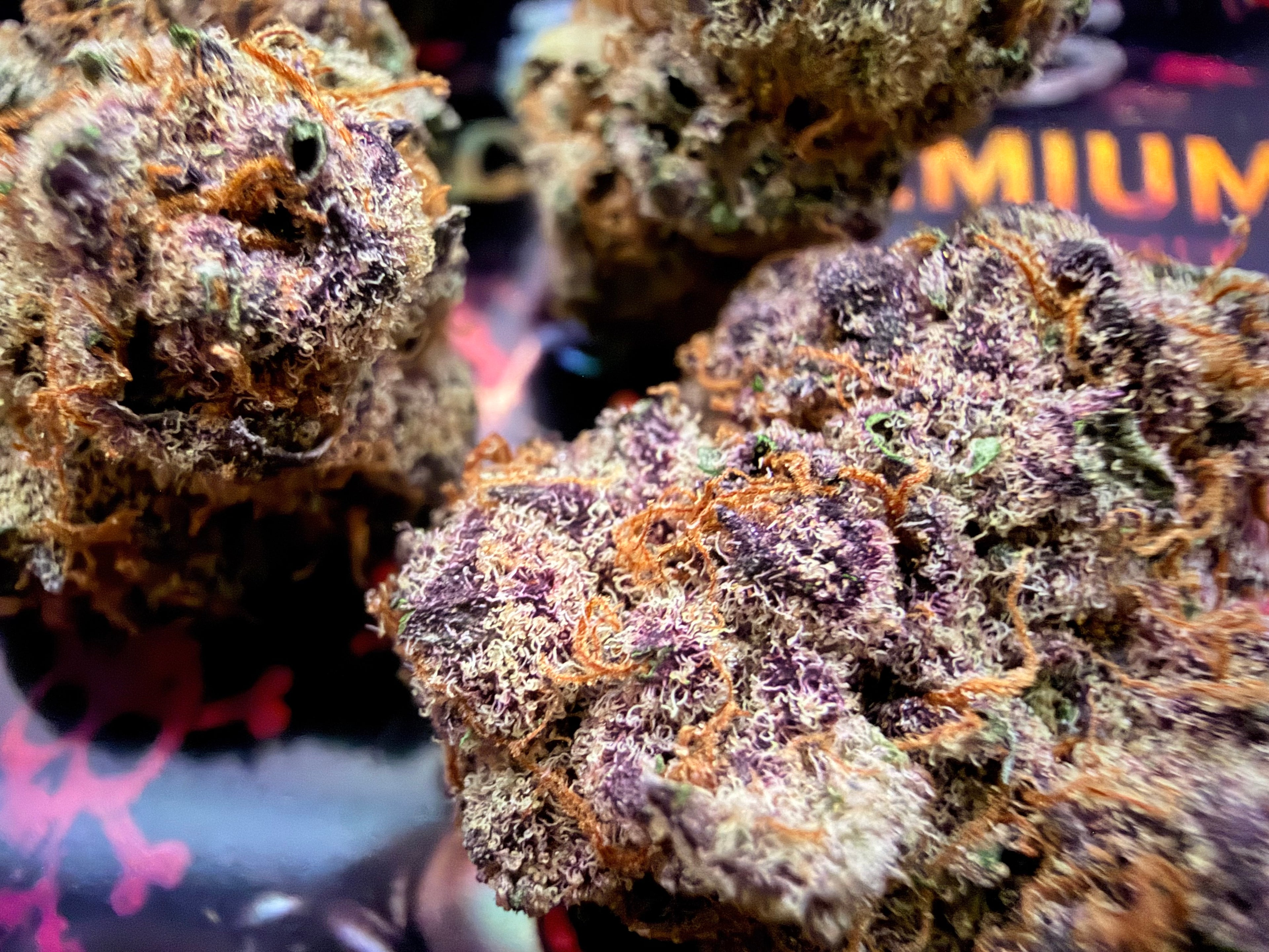BOMB CHERRY FLEURS THCA PREMIUM AAAA+