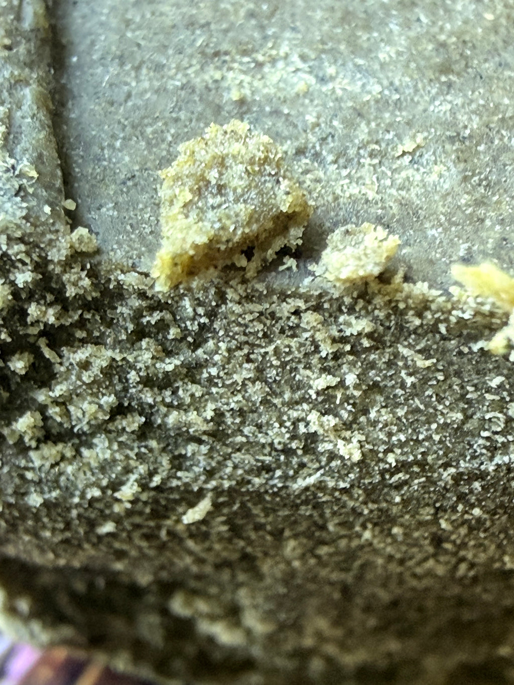 HASH PREMIUM THCA GMO