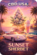 SUNSET SHERBET CBD PREMIUM CALIFORNIE
