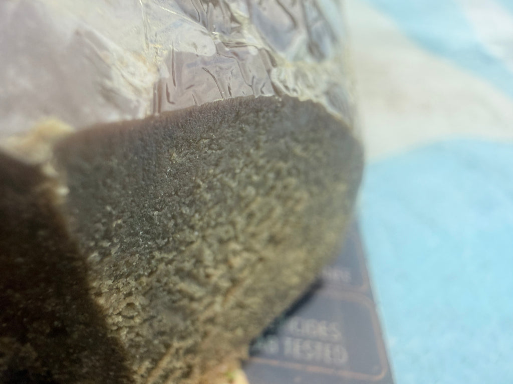 Hash Static Zkittlez × Gelato 41 – THCA Premium AAAA+