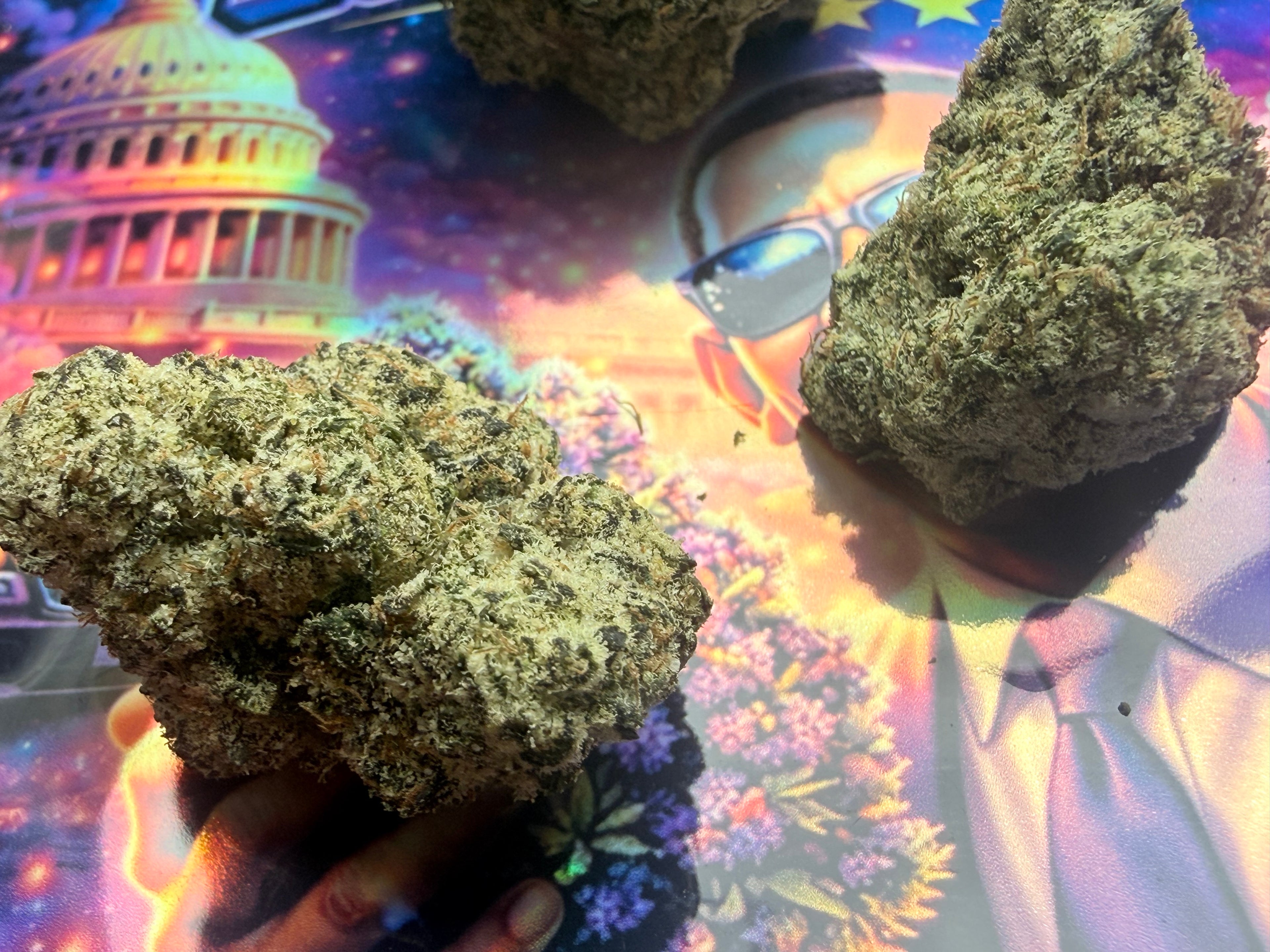 OBAMA RUNTZ THCA PREMIUM AAAA+