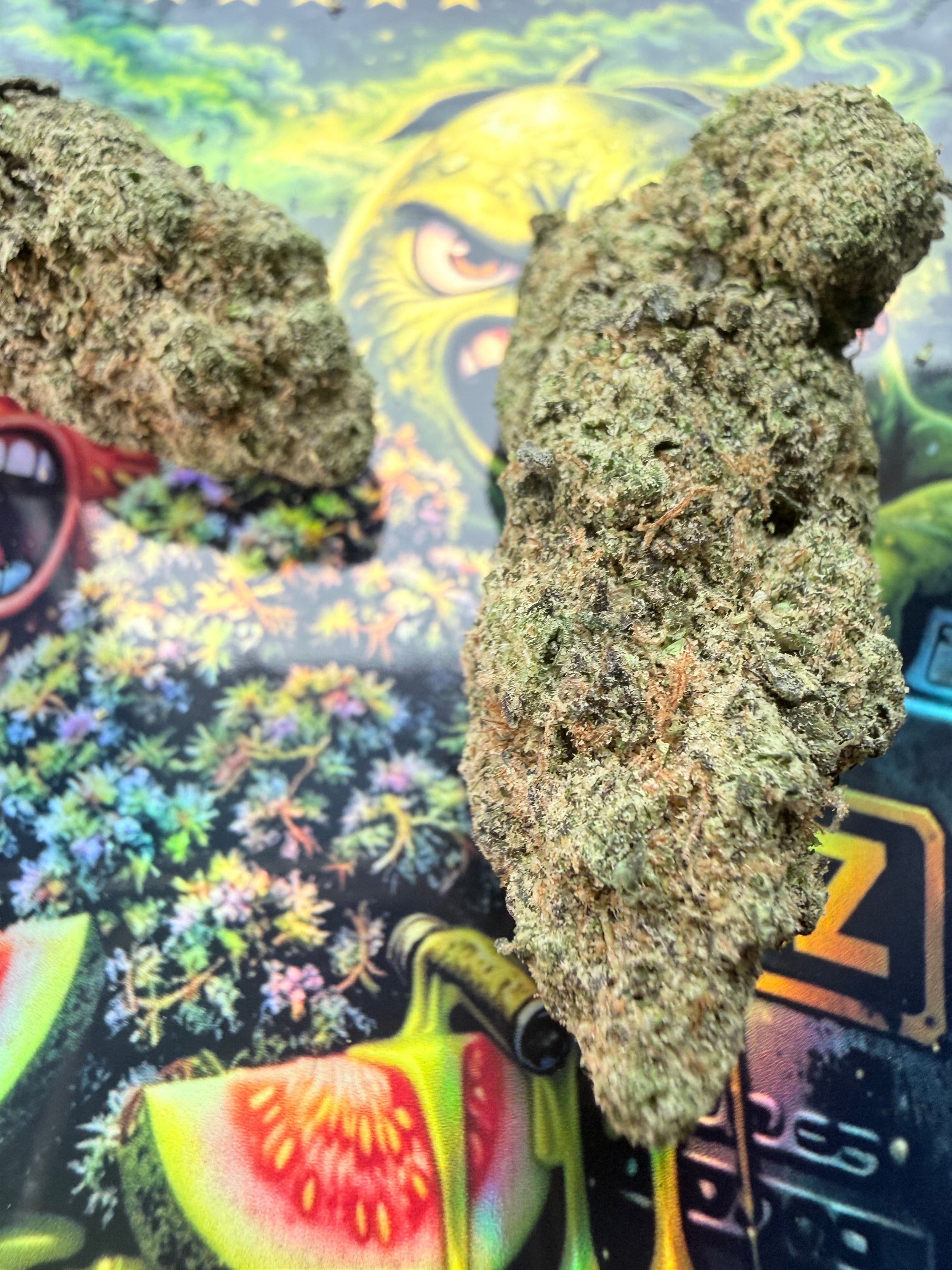 GUAVA GAZ THCA PREMIUM AAAA+