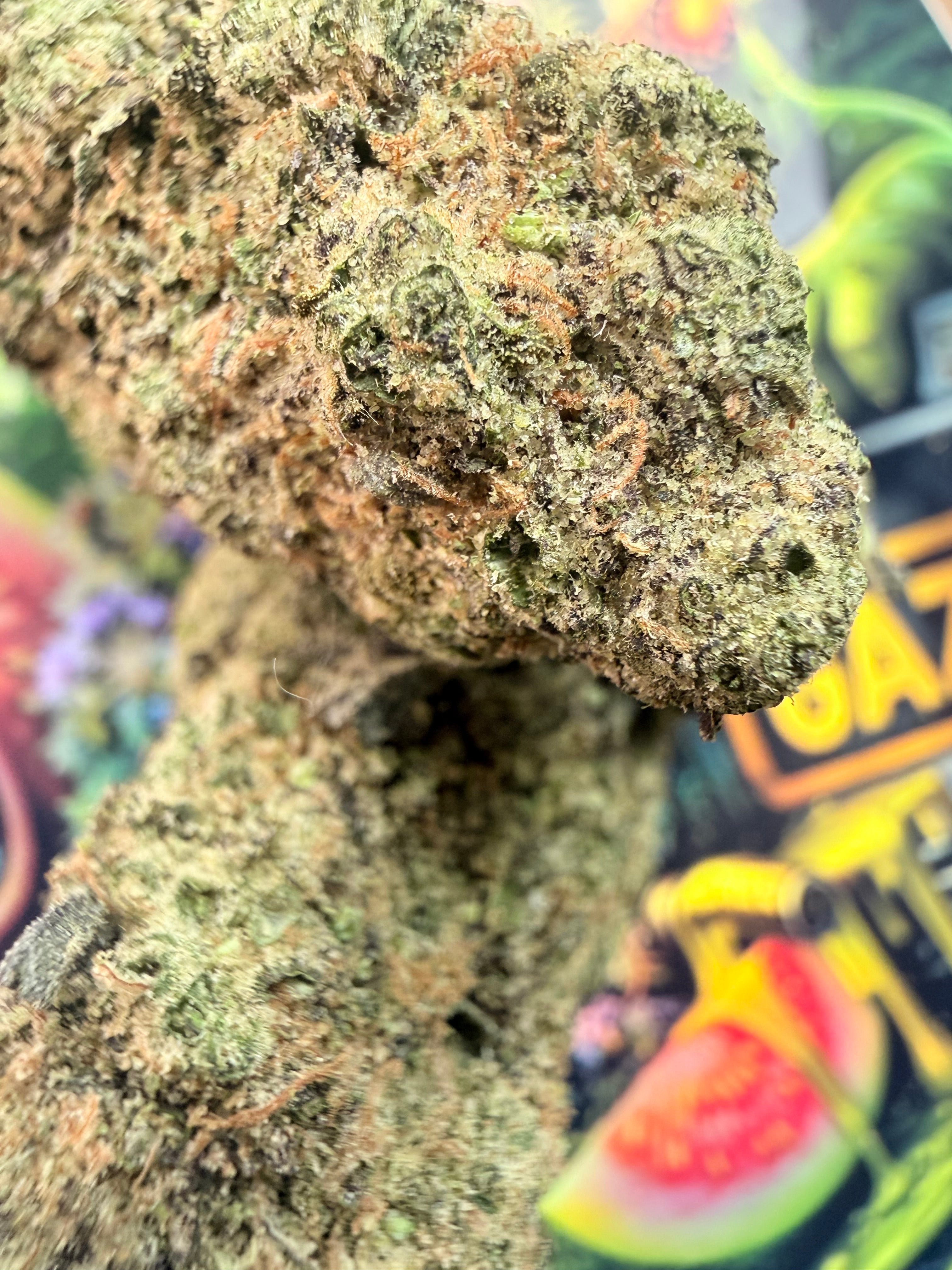 GUAVA GAZ THCA PREMIUM AAAA+