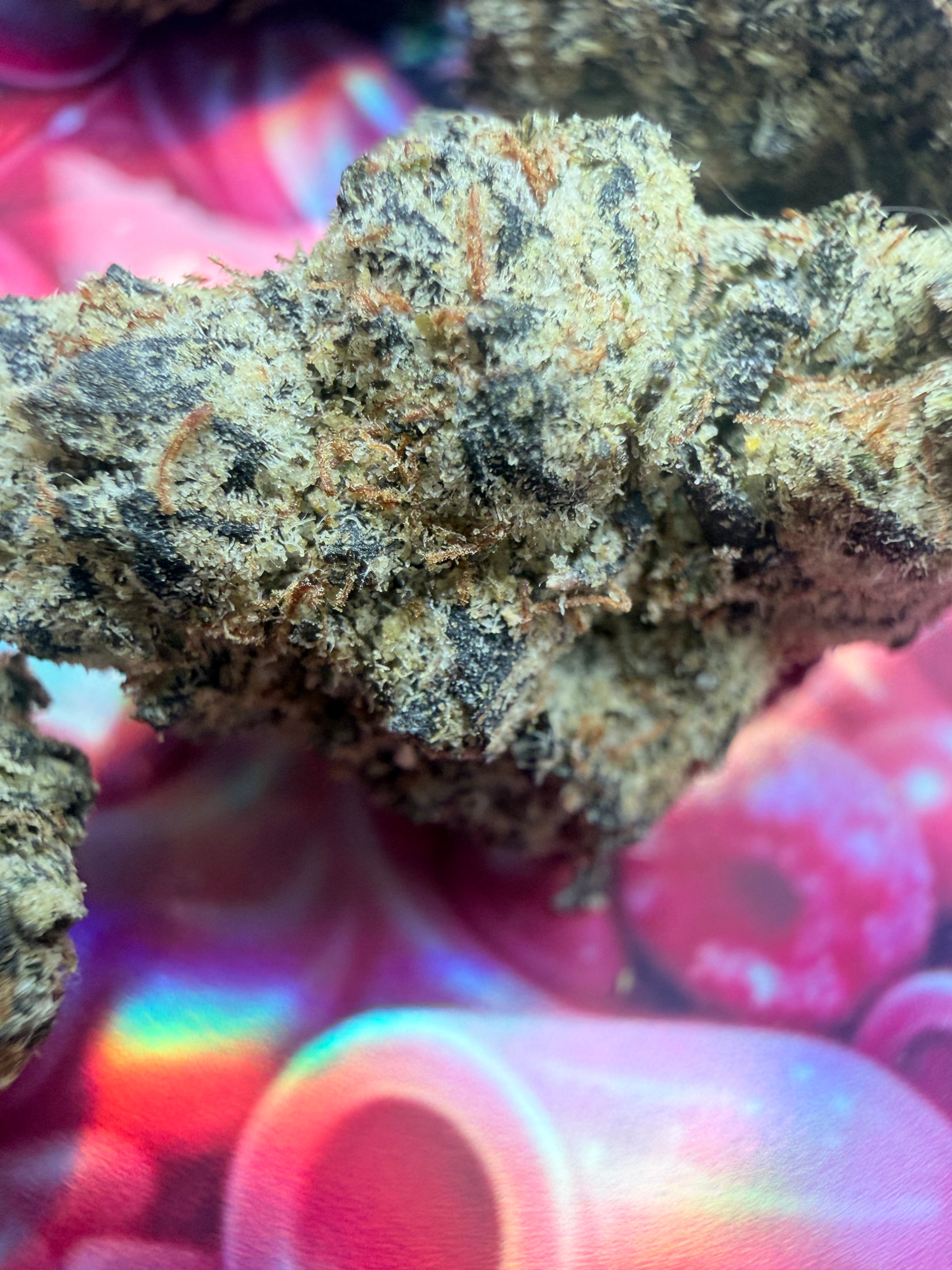 STRAWBERRY GUM THCA PREMIUM AAAA+