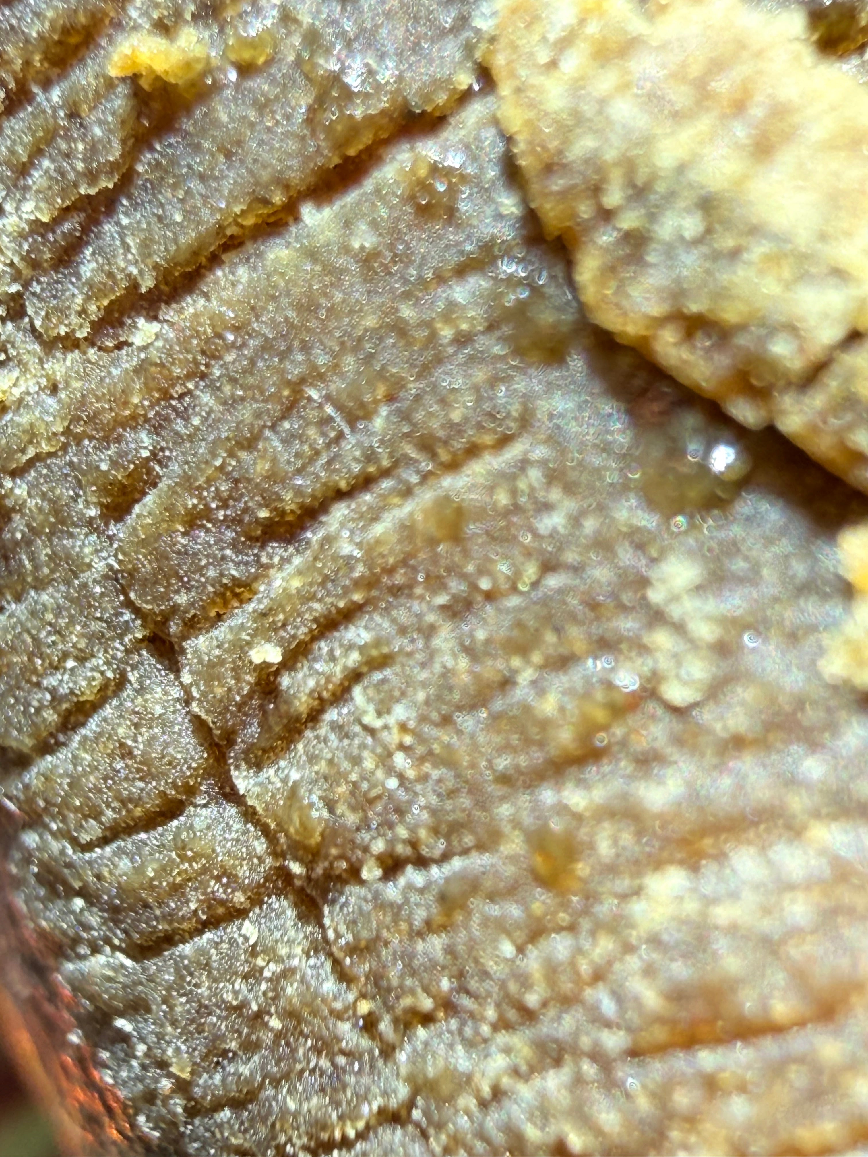 HASH PREMIUM THCA AAAA+ - MANGO SPRITZER