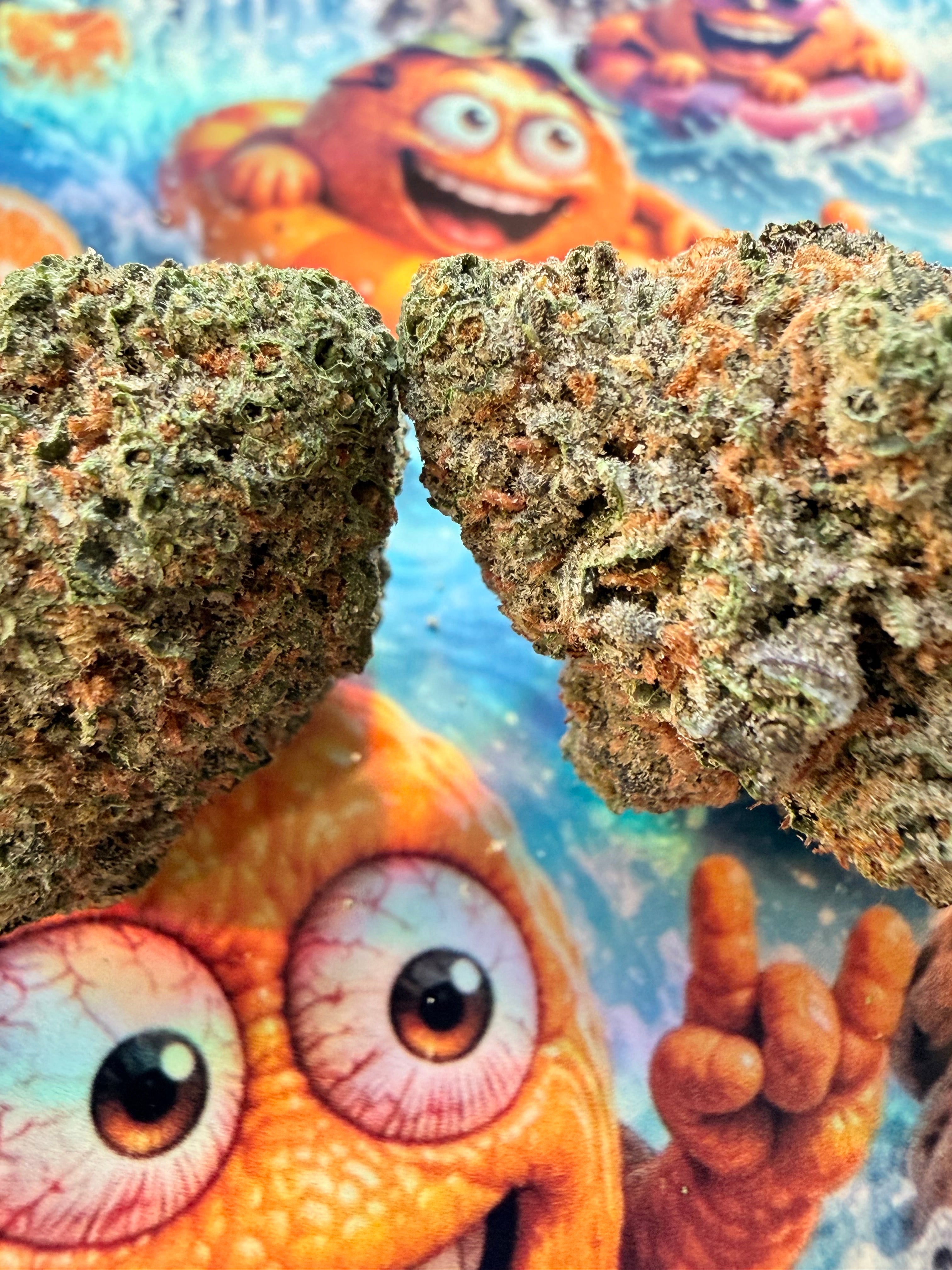 PACK CHERRY JUICY 20G FLEURS THCA