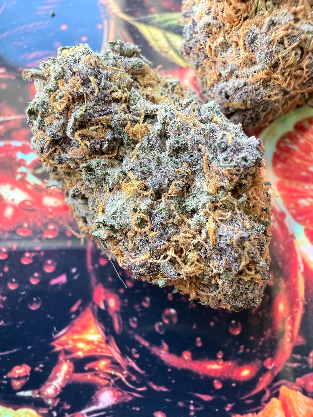 RS11 X TROPICANA CHERRY FLEURS THCA PREMIUM AAAA+