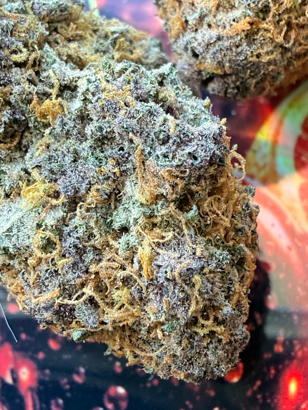 RS11 X TROPICANA CHERRY FLEURS THCA PREMIUM AAAA+