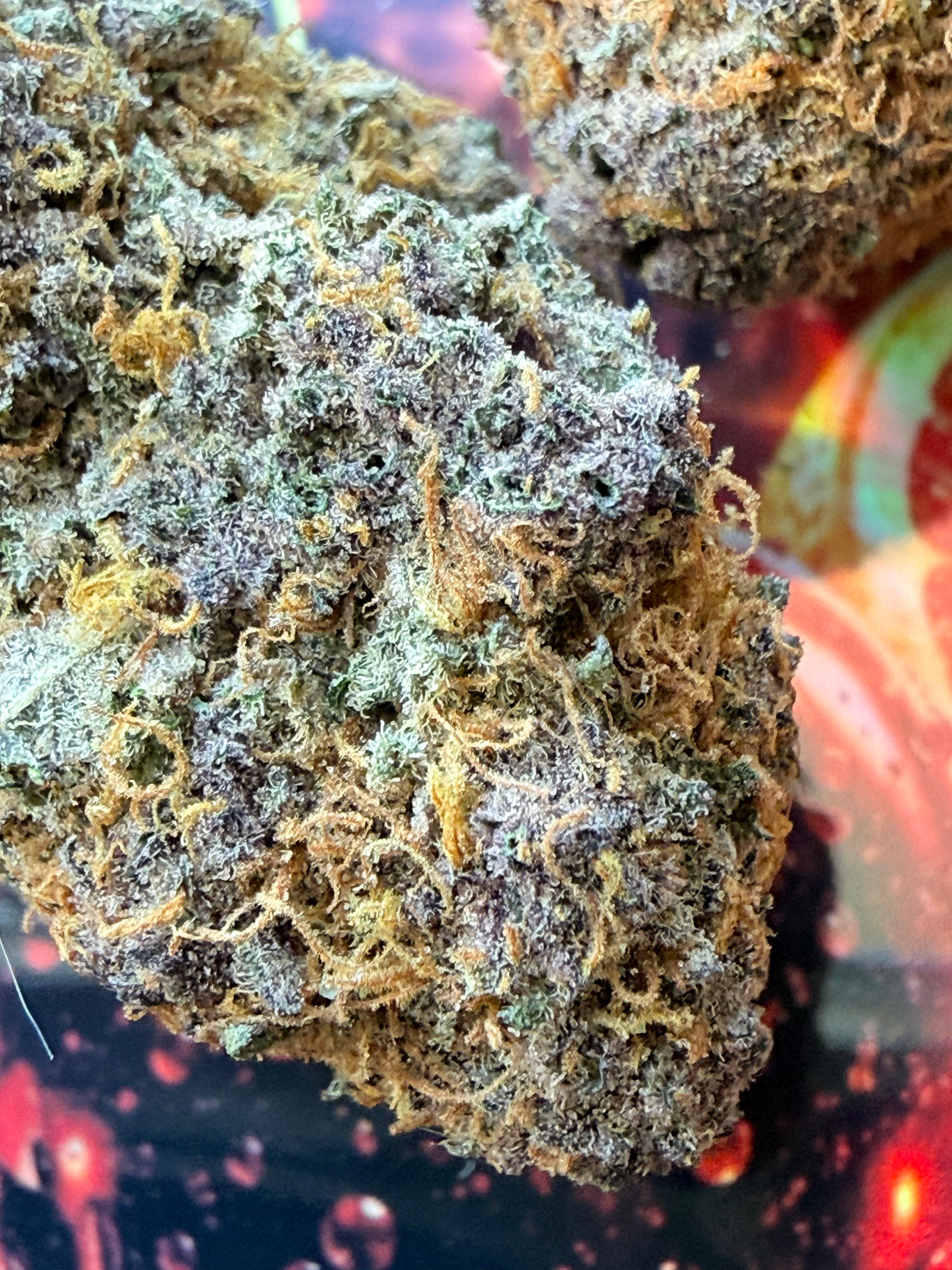 RS11 X TROPICANA CHERRY FLEURS THCA PREMIUM AAAA+