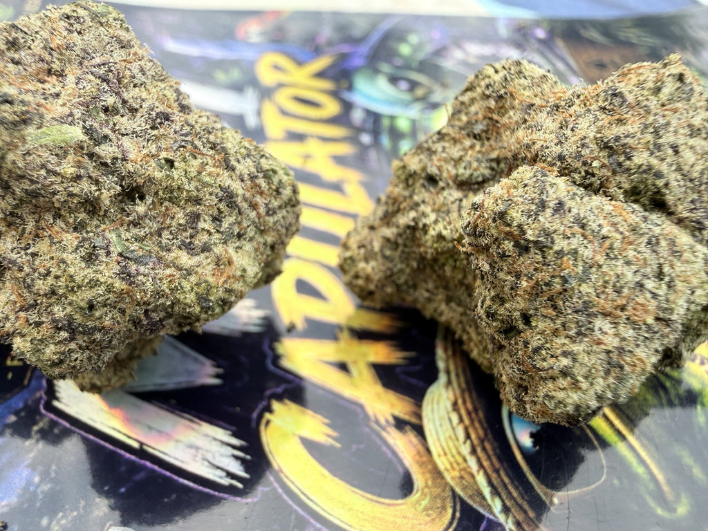 MAC 1 × CAPULATOR – FLEURS THCA PREMIUM AAAA+ TOP SHELF
