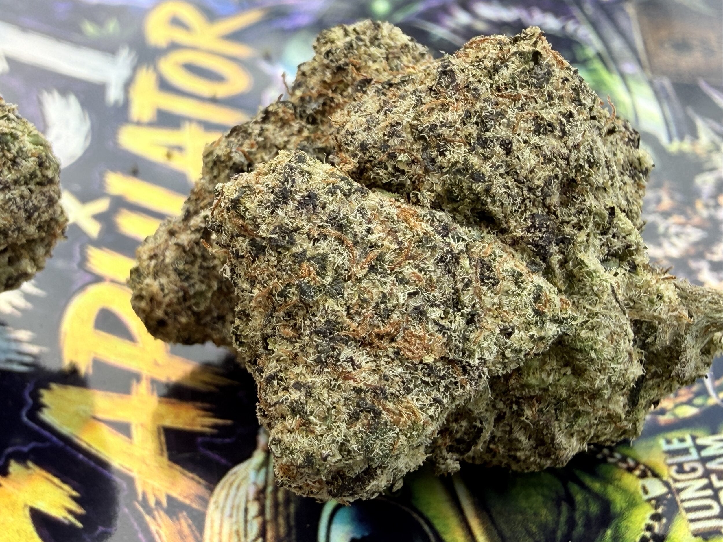 MAC 1 × CAPULATOR – FLEURS THCA PREMIUM AAAA+ TOP SHELF