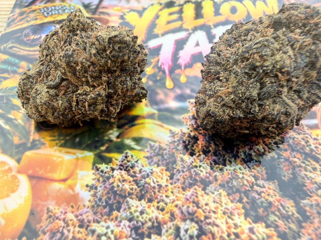 YELLOW TAFFY – FLEURS THCA ULTRA EXOTIC PREMIUM AAAA+