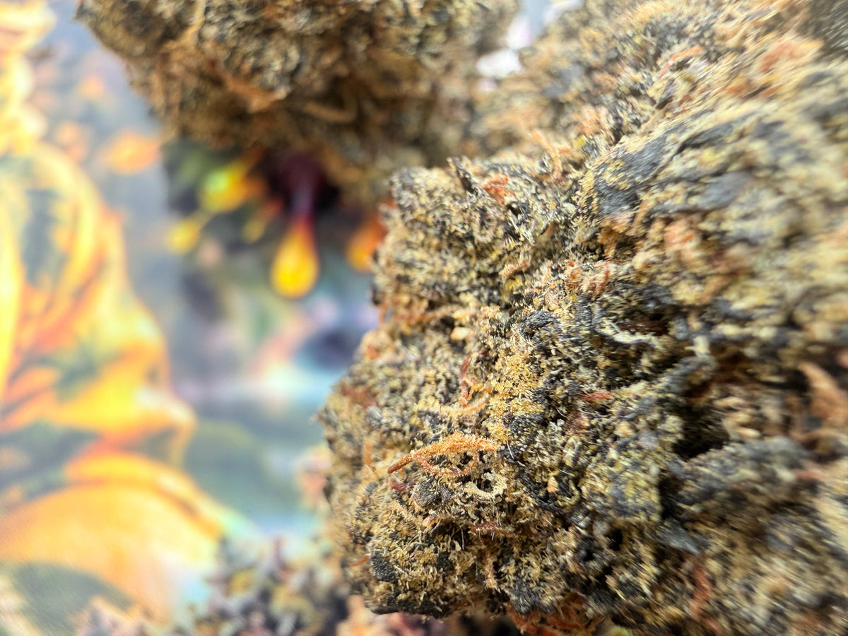 YELLOW TAFFY – FLEURS THCA ULTRA EXOTIC PREMIUM AAAA+
