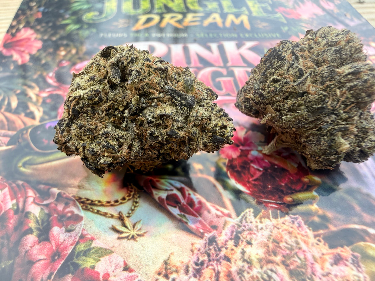 PINK ZANGRIA – FLEURS THCA ULTRA EXOTIC PREMIUM AAAA+