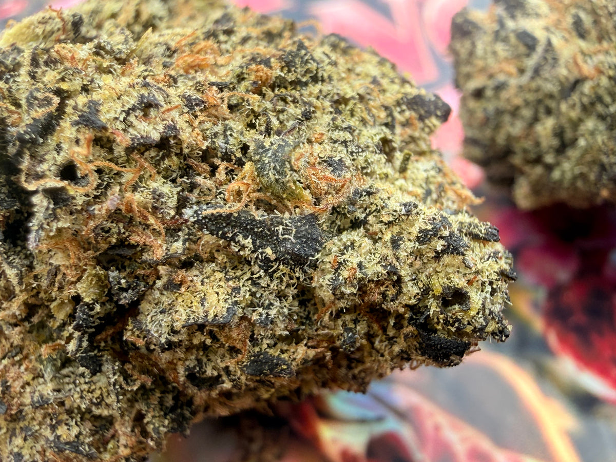 PINK ZANGRIA – FLEURS THCA ULTRA EXOTIC PREMIUM AAAA+