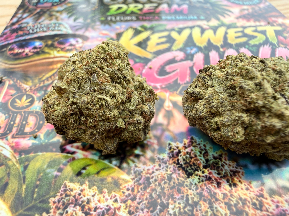 KEYWEST GUAVA – FLEURS THCA PREMIUM AAAA+