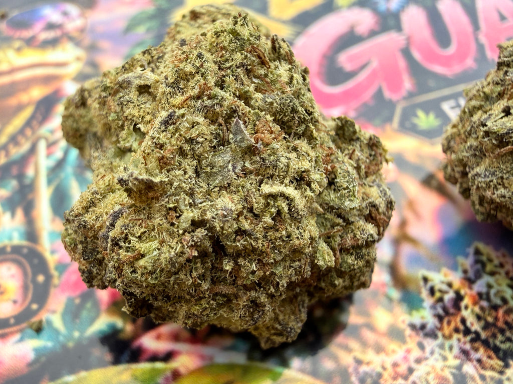 KEYWEST GUAVA – FLEURS THCA PREMIUM AAAA+