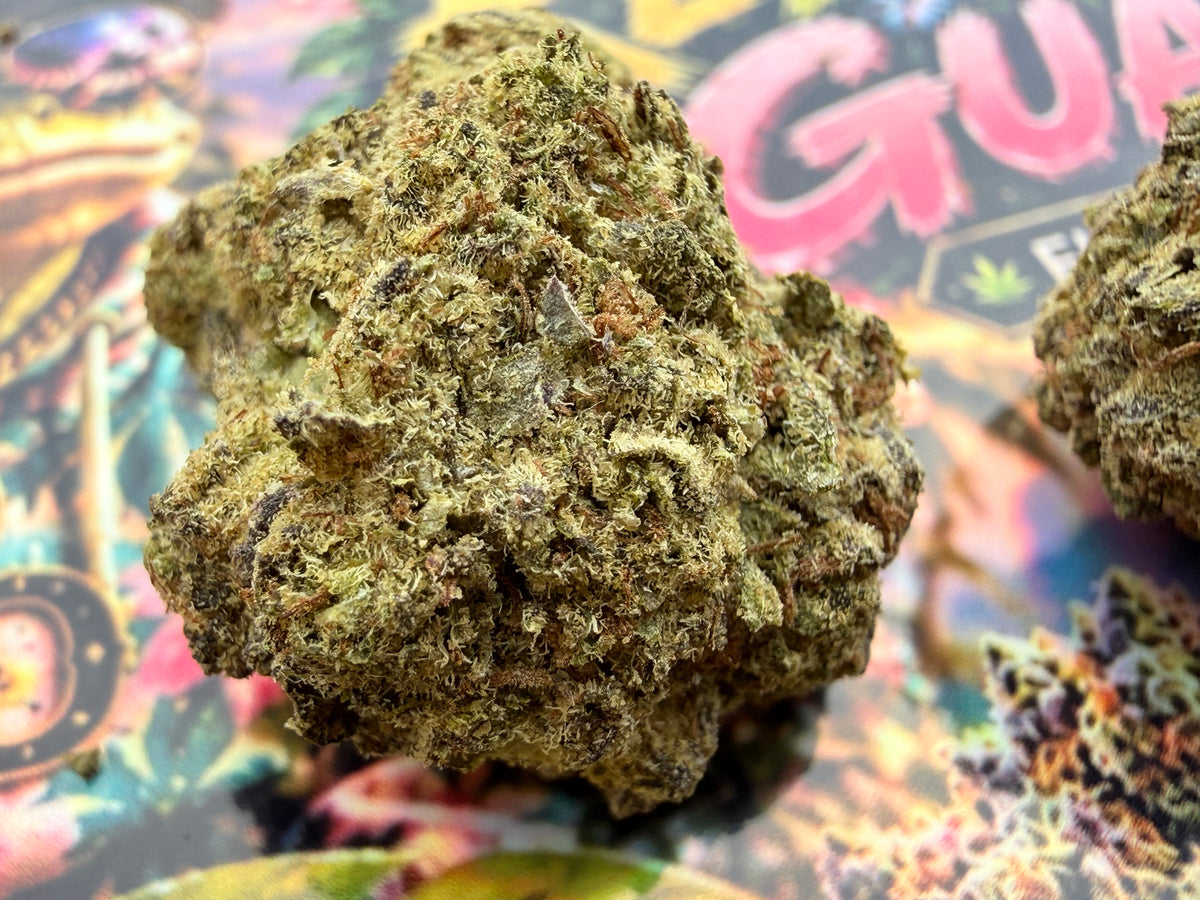 KEYWEST GUAVA – FLEURS THCA PREMIUM AAAA+
