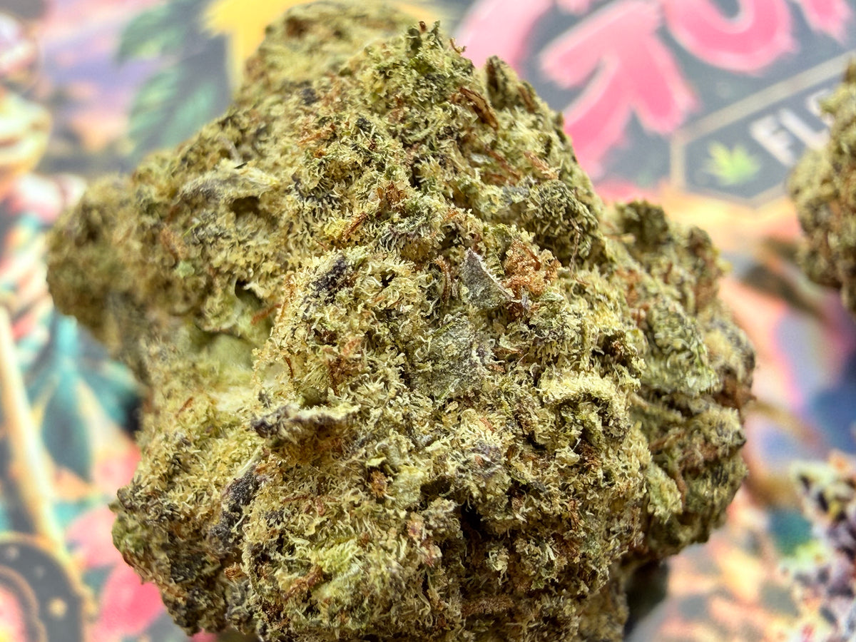 KEYWEST GUAVA – FLEURS THCA PREMIUM AAAA+