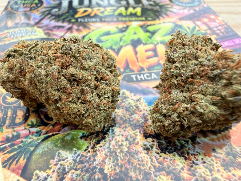 GAZ MELON – FLEURS THCA PREMIUM AAAA+