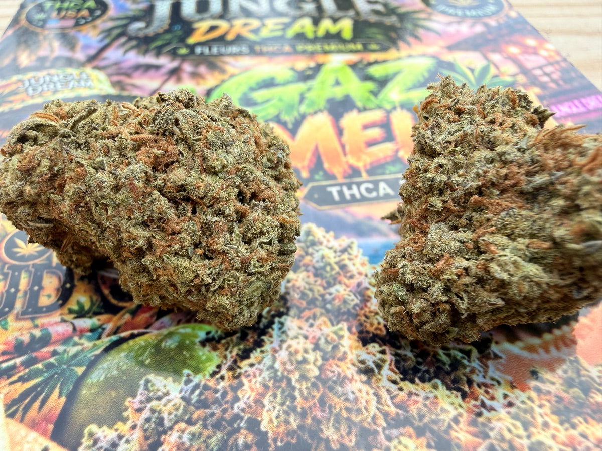 GAZ MELON – FLEURS THCA PREMIUM AAAA+