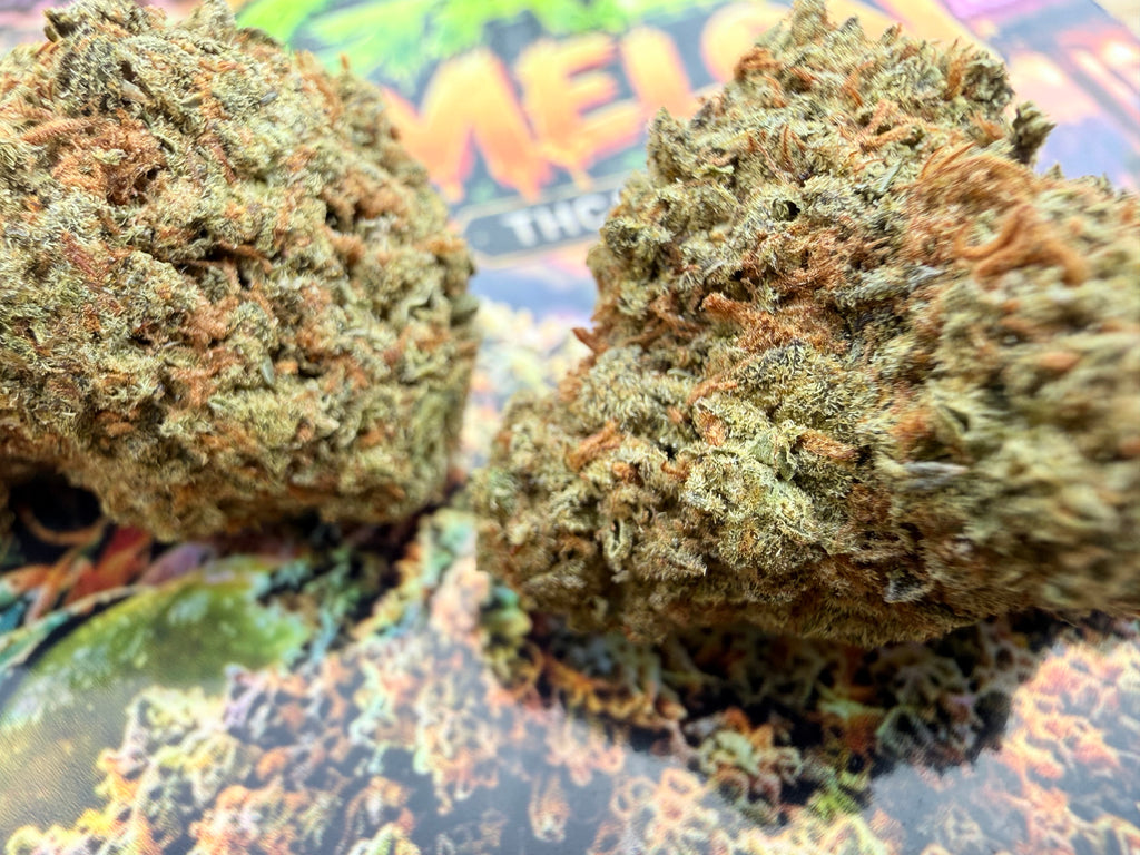 GAZ MELON – FLEURS THCA PREMIUM AAAA+