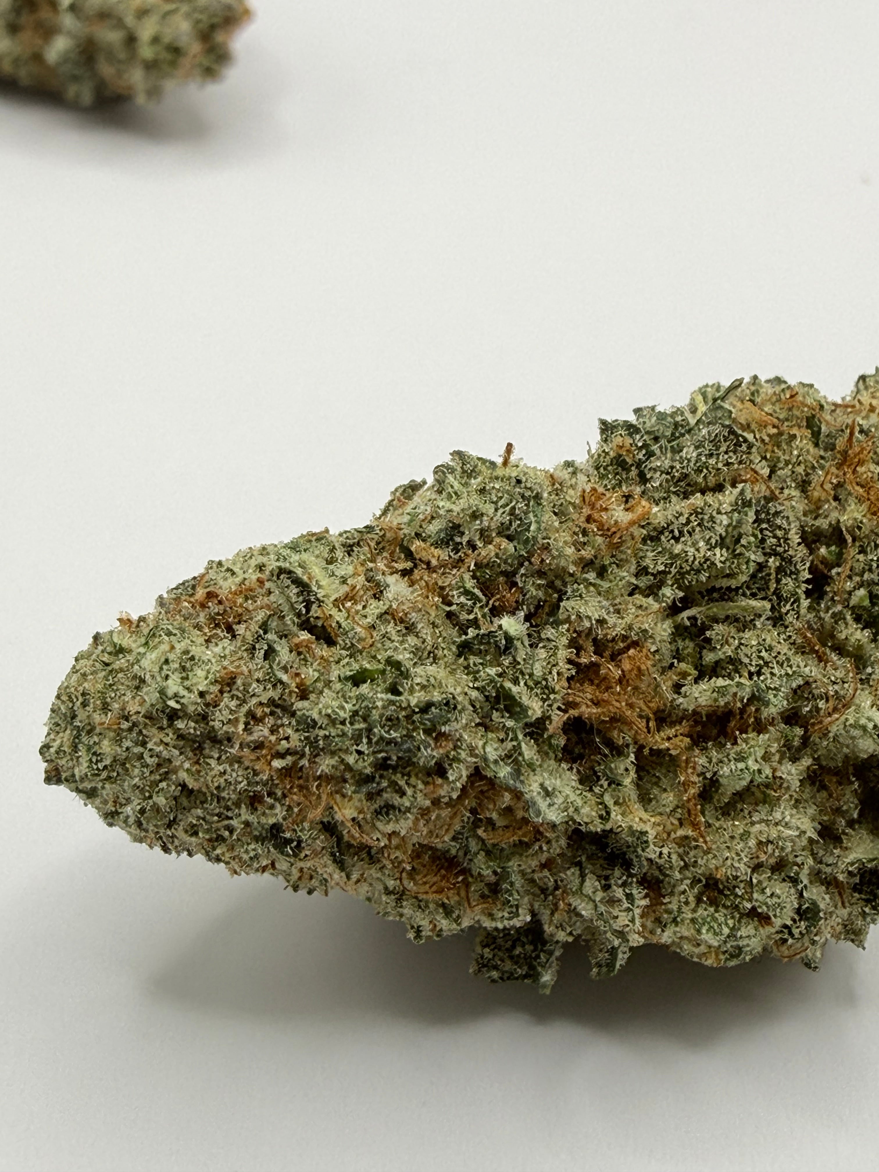 GRITTER BOMB FLEUR THCA PREMIUM AAAA+