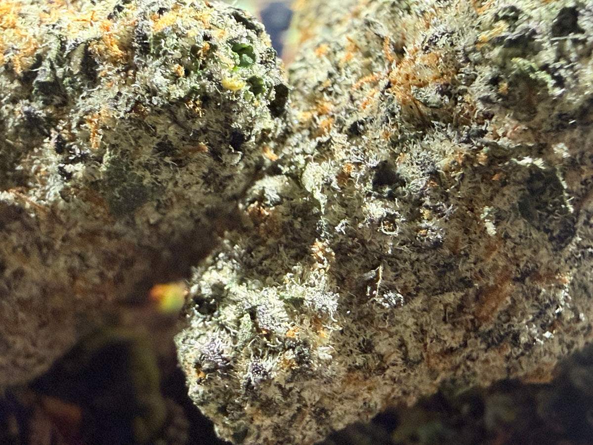 LARRY OG – FLEURS THCA PREMIUM AAAA+