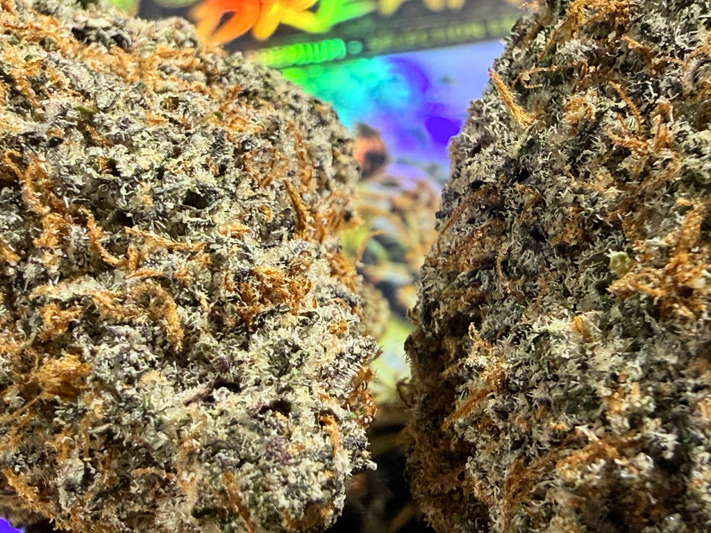 Ice Cream Cookies THCA Premium AAAA+