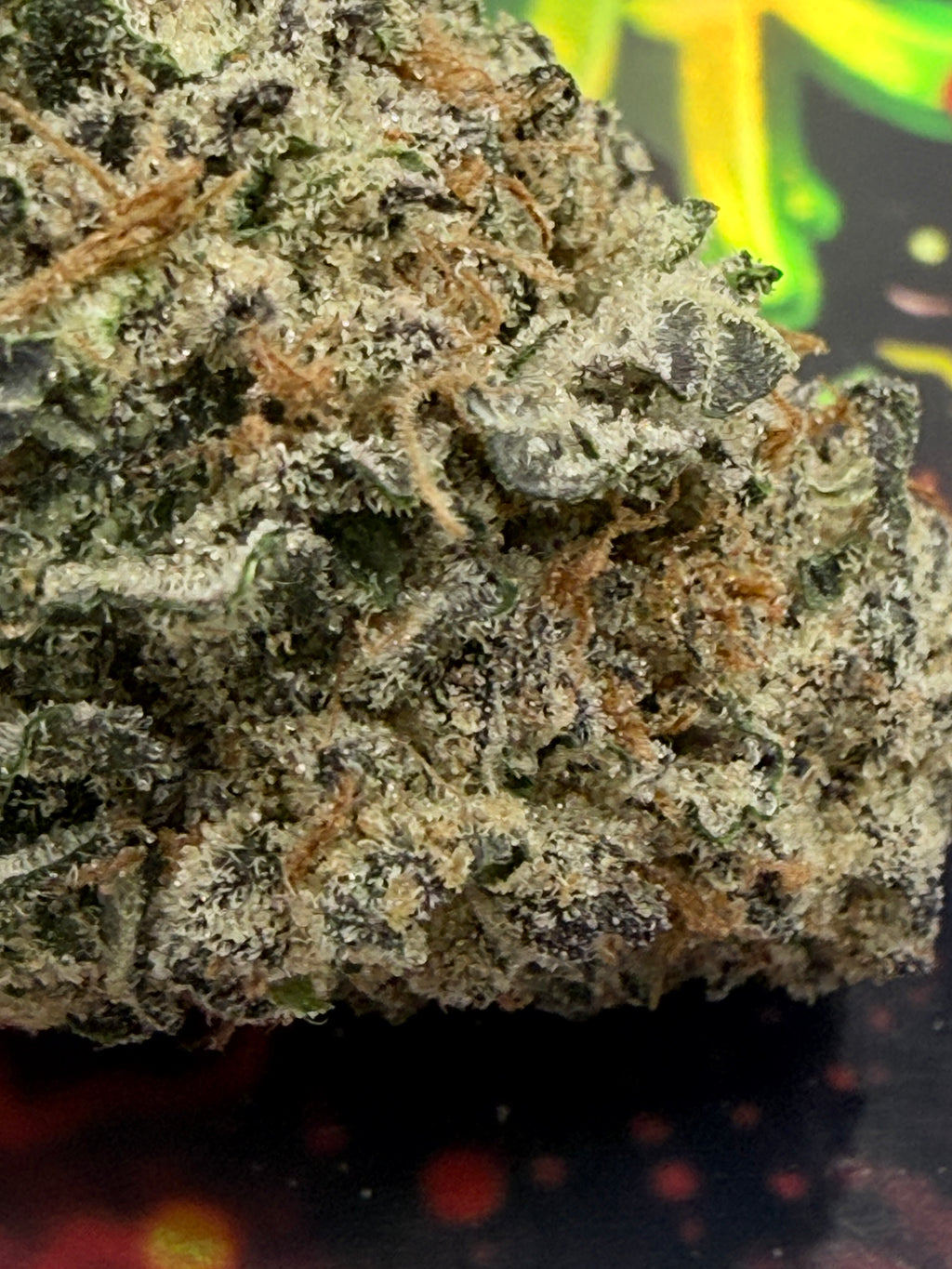 SOUR APRICOT THCA CALIFORNIE AAAA - FLEURS PREMIUM PLUS