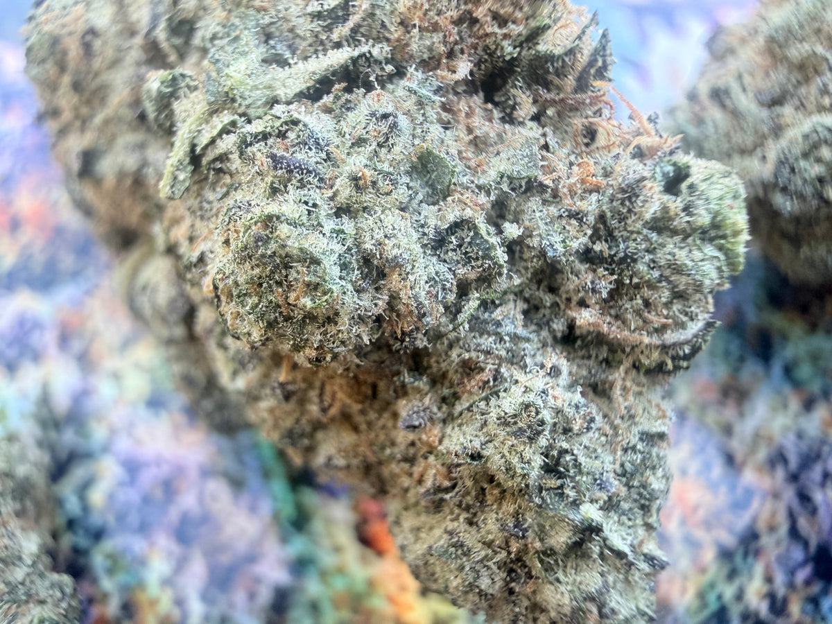 ICE CREAM BANGER – FLEURS THCA PREMIUM AAAA+