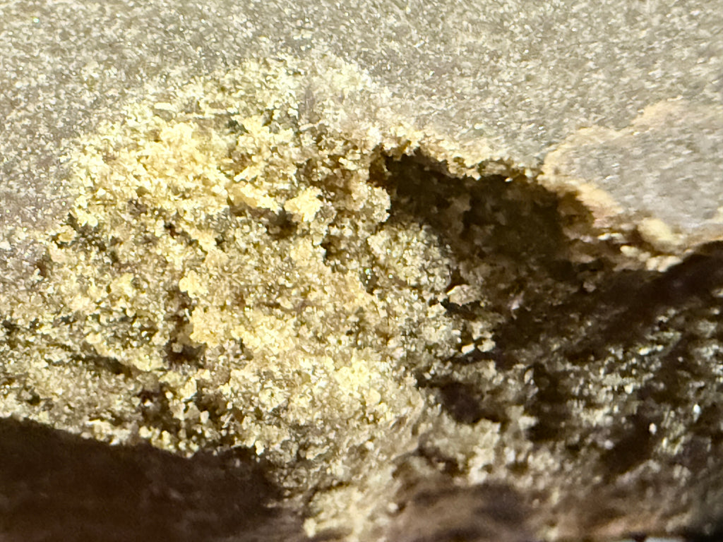 HASH STATIC ORANGE GROW × GARLIC COCKTAIL – THCA PREMIUM AAAA+