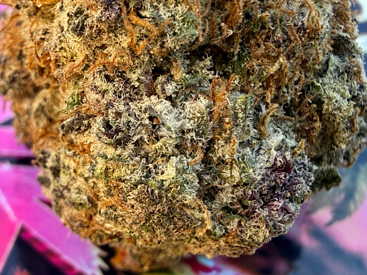 Sour Pink Grapefruit THCA Premium AAAA+