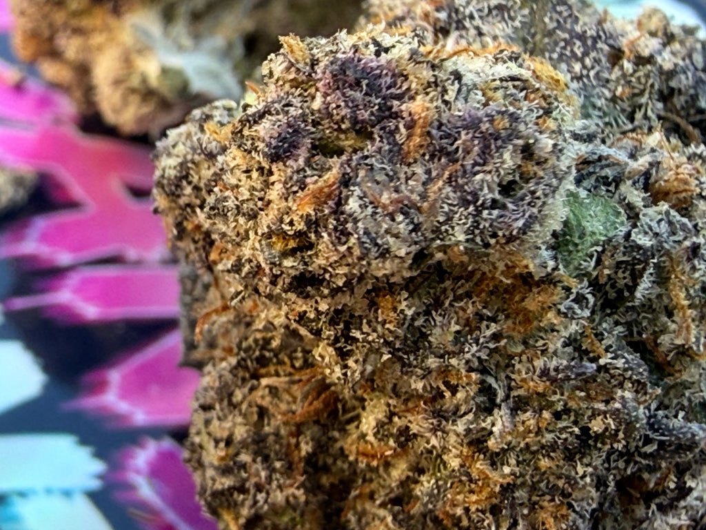 CANDY RUNTZ – FLEURS THCA PREMIUM AAAA+