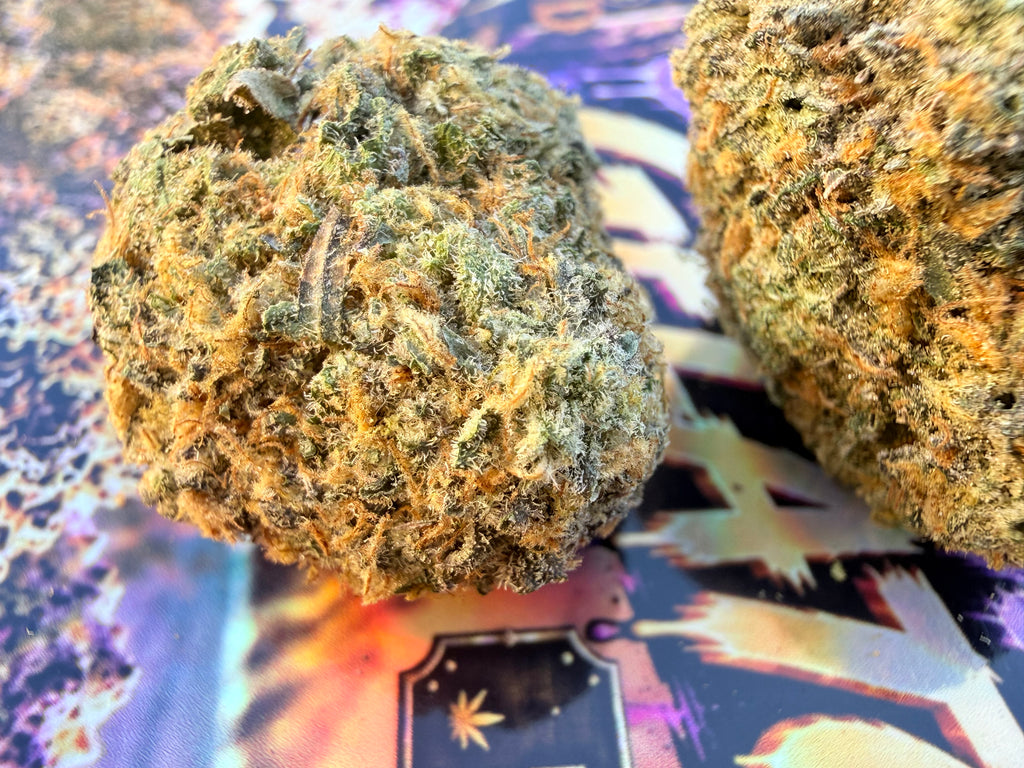 JET FUEL GELATO – FLEURS THCA PREMIUM AAAA+
