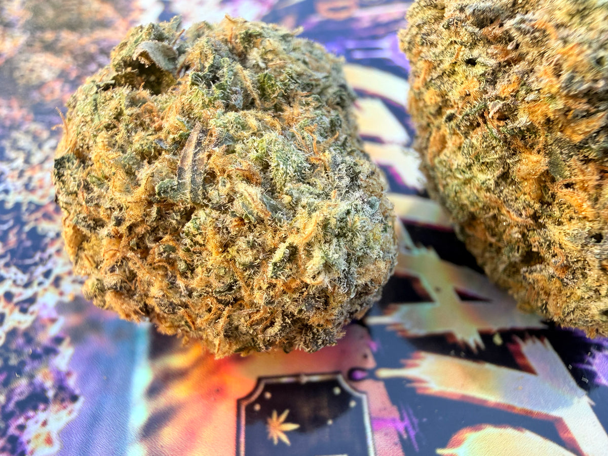 JET FUEL GELATO – FLEURS THCA PREMIUM AAAA+