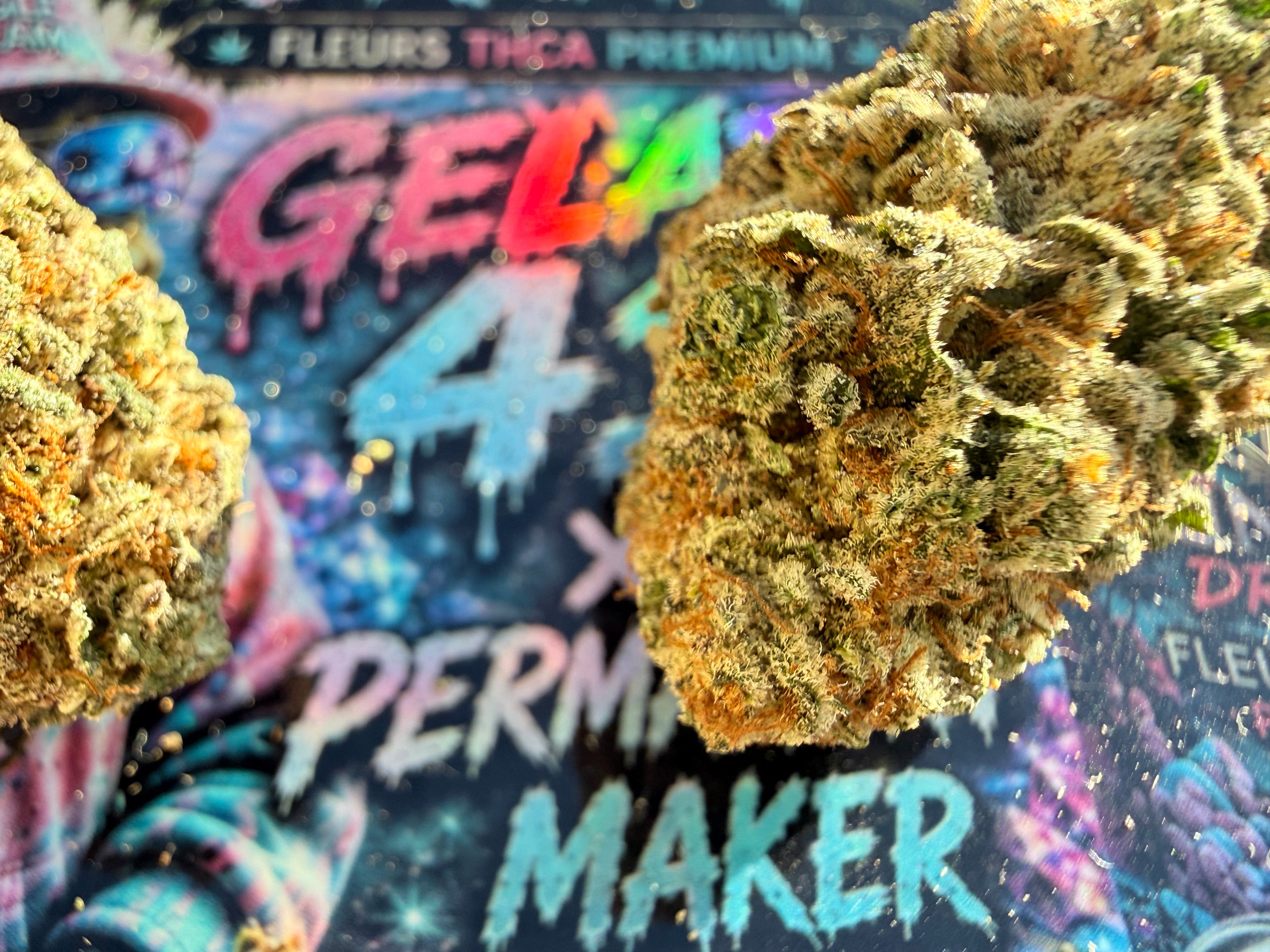 GELATO 41 × PERMANENT MARKER – FLEURS THCA PREMIUM AAAA+