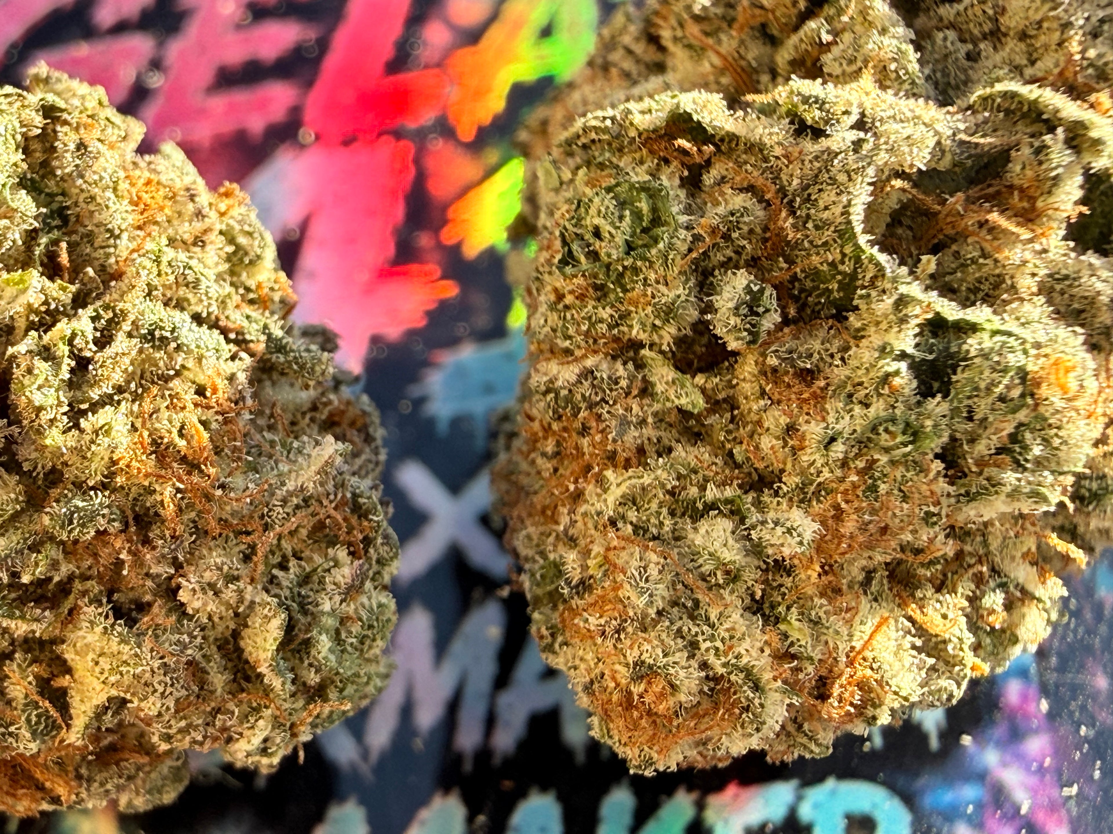 GELATO 41 × PERMANENT MARKER – FLEURS THCA PREMIUM AAAA+