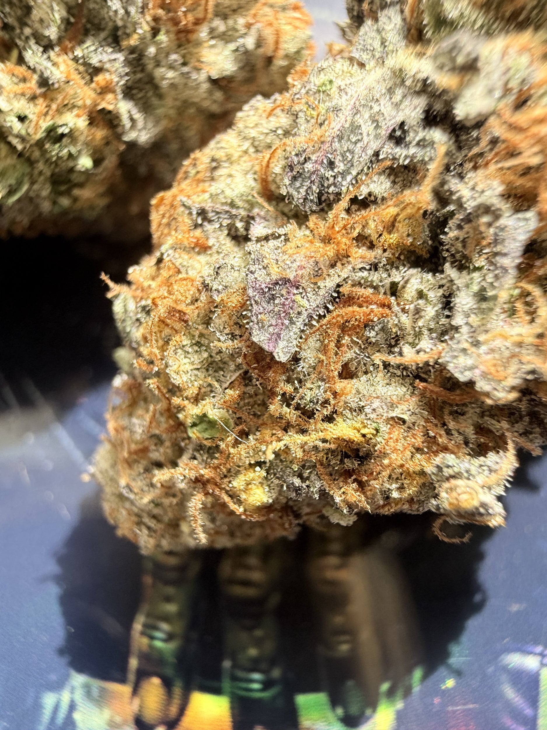JEALOUSY FLEURS THCA PREMIUM AAAA+