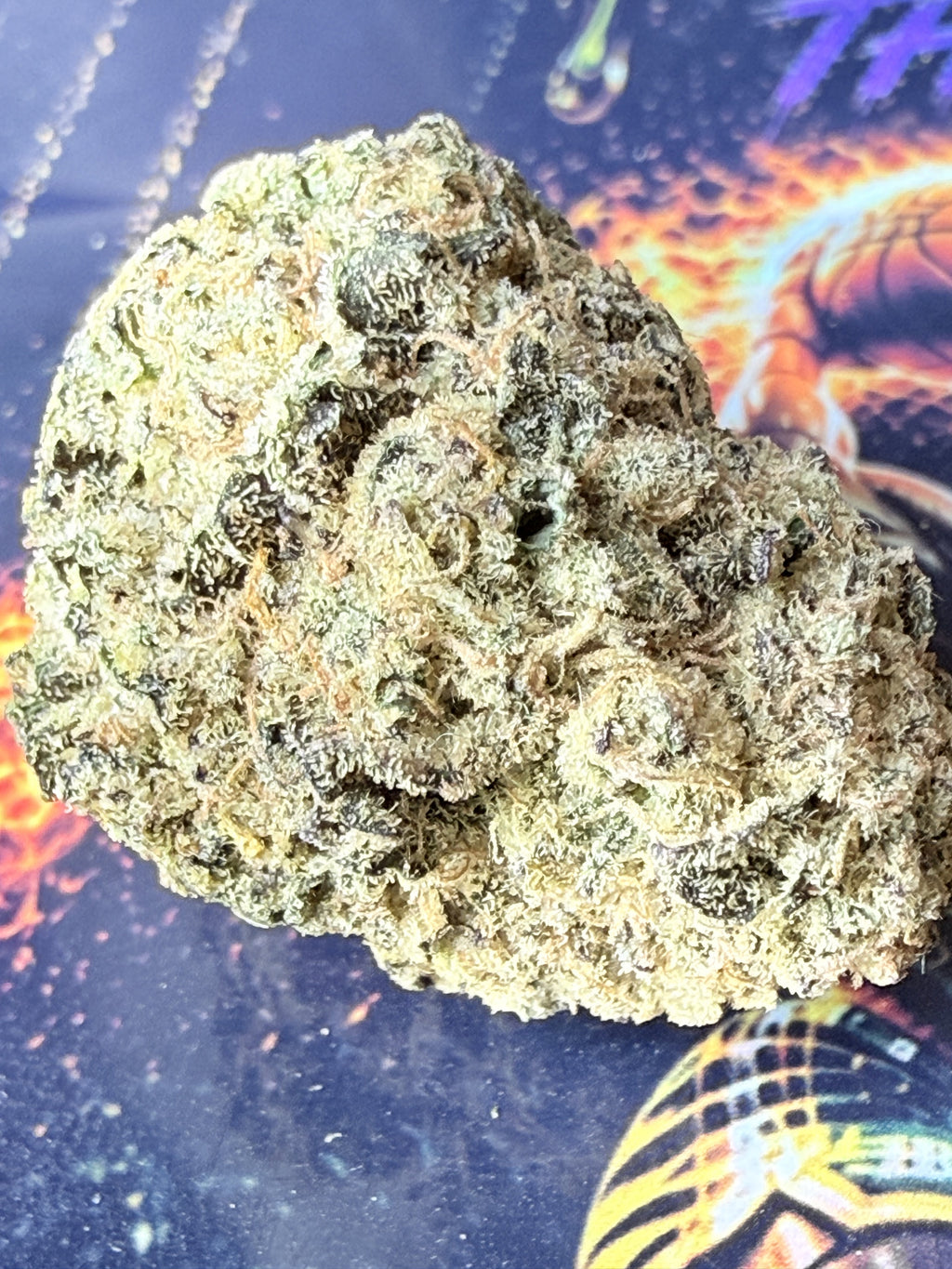 GARY PAYTON FLEURS THCA PREMIUM AAAA+