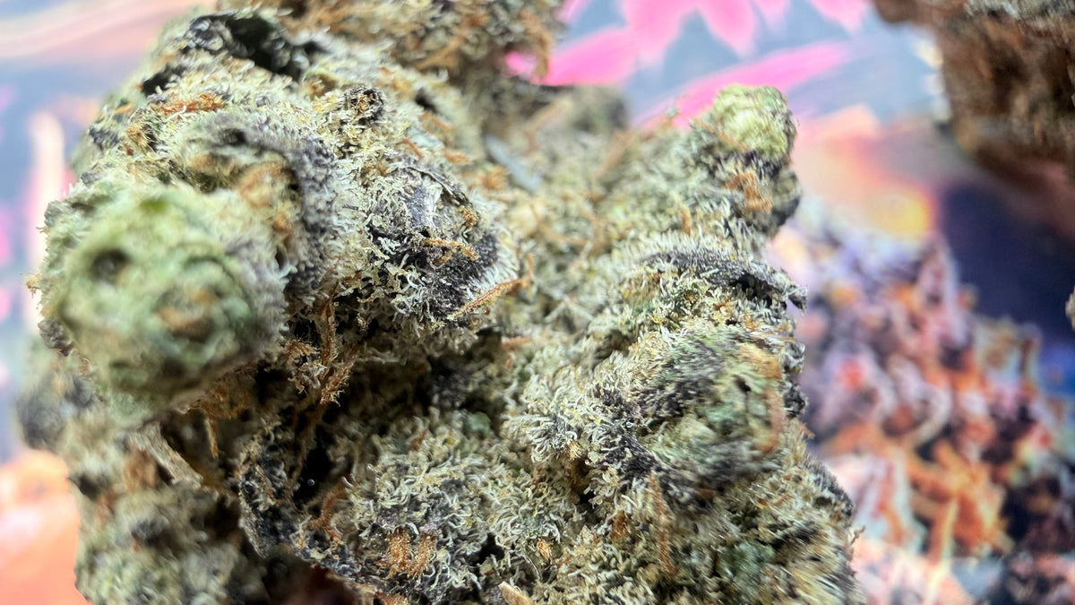 ZangBanger Fleurs THCA Premium AAAA+
