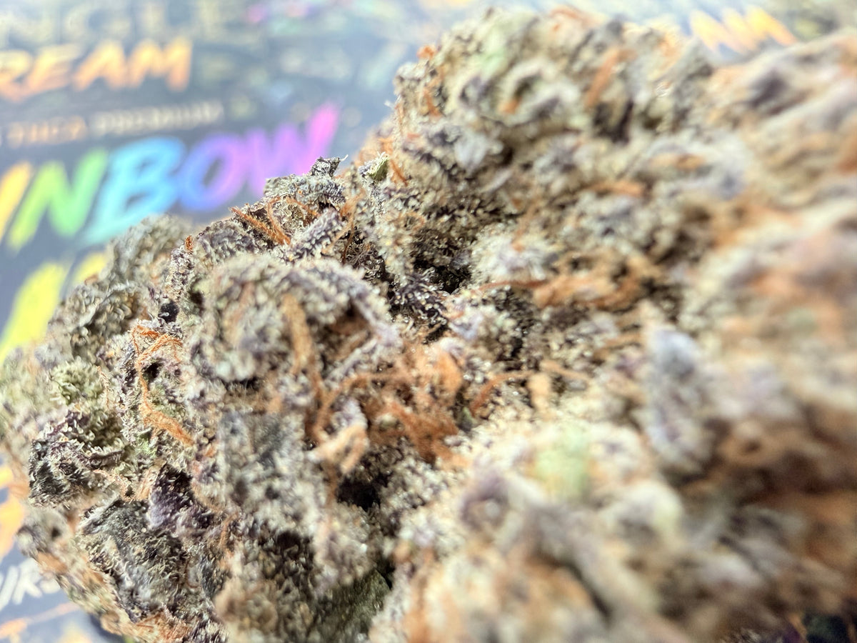 Rainbow Runtz – Fleurs THCA Premium AAAA+