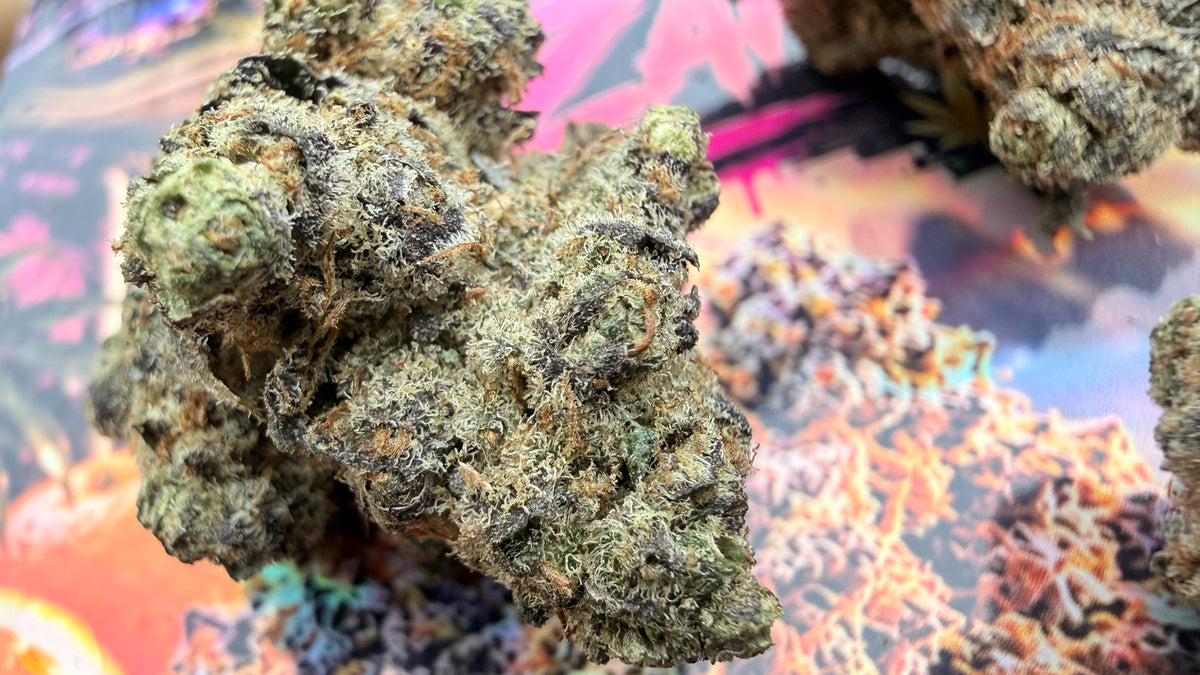 ZangBanger Fleurs THCA Premium AAAA+